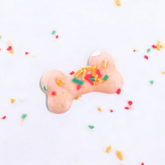 Bone-shaped freeze-dried crunch treat for dogs, close-up view